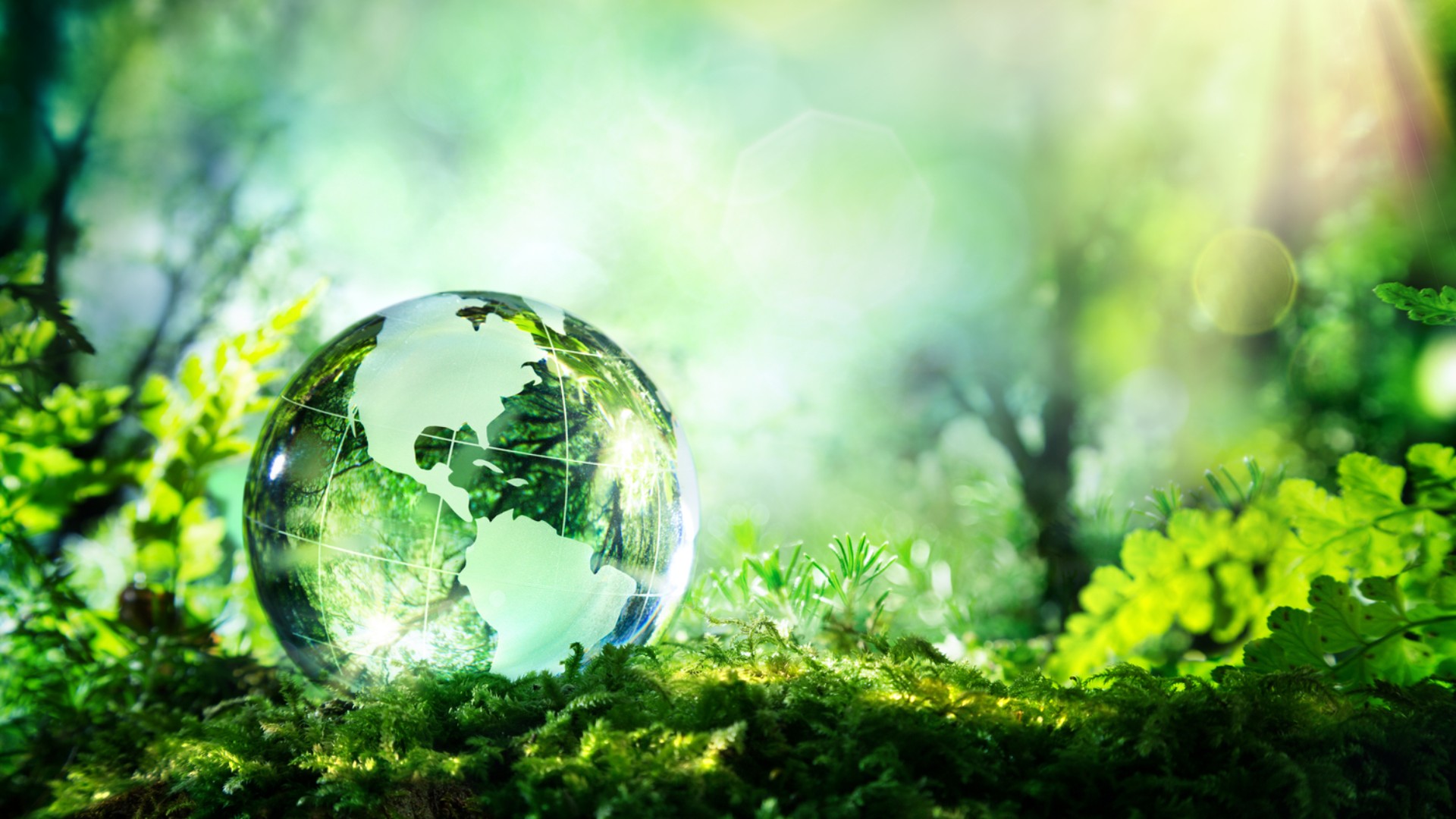 Steps to Go Green