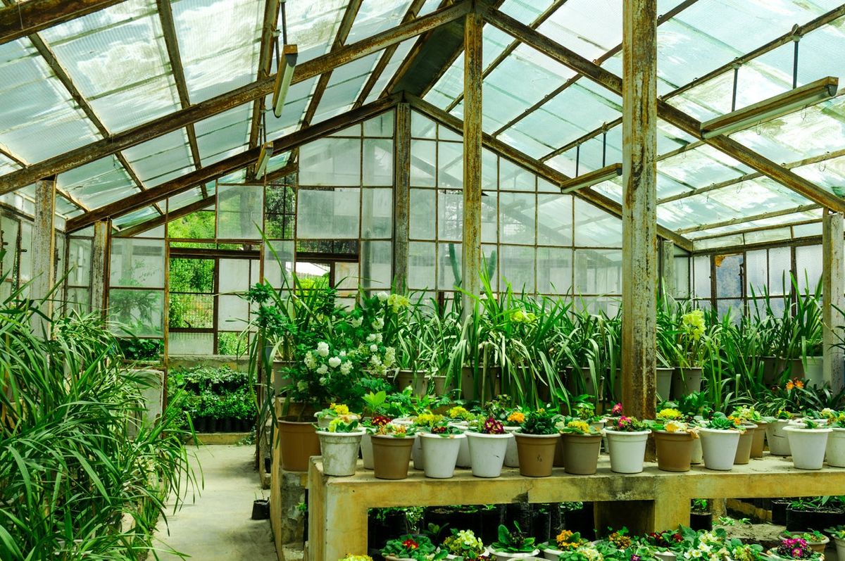 Greenhouses