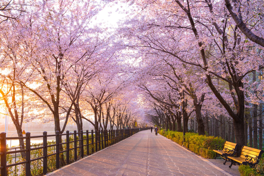 south korea