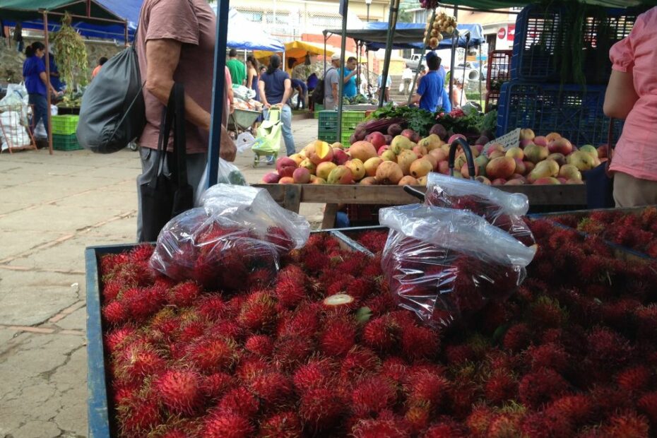 central american fruit