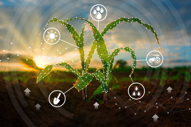 Artificial Intelligence Are Transforming What We Eat