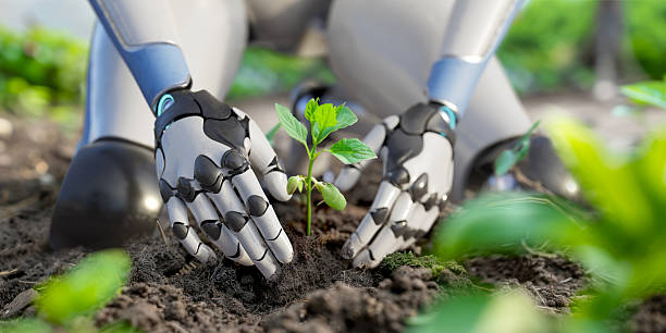 Close up differential focus image of a kneeling robot carefully positioning compost around a young plant.