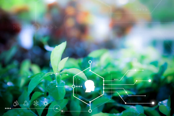 Smart technology with Internet of things futuristic agriculture concept. Analysis report with one finger click on digital screen. free space for text. Blurred gentle artistic nature background