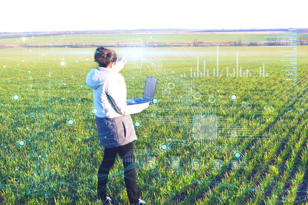 examination of the root system of plants using sensors. Processing and analysis of the data obtained by artificial intelligence to make decisions on improving plant growth