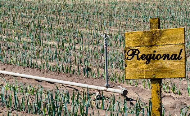 Regional Food Industry Impact