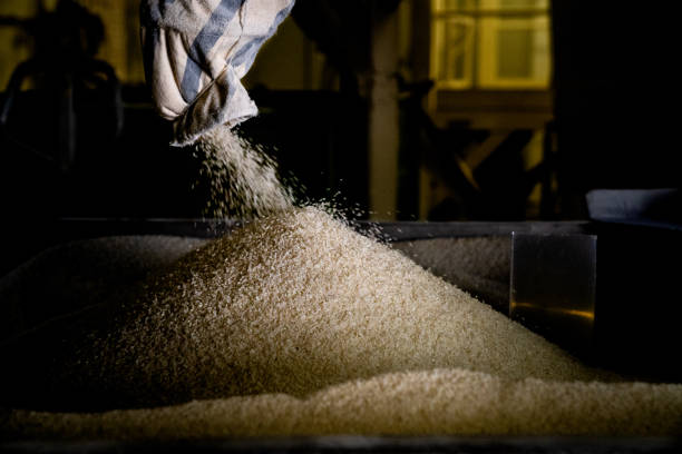Freshly harvested raw peeled white rice being poured from a bag