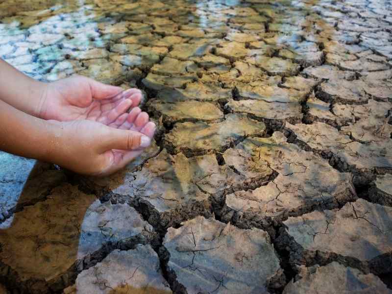 Close-up of hands extended over dry, cracked ground affected by drought.